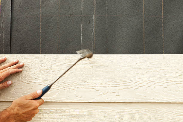 Best Steel Siding Installation  in Farmington, MS
